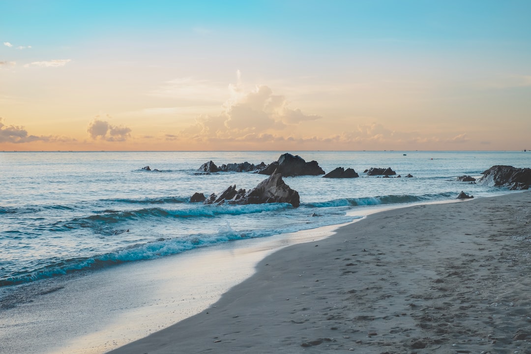Spice Up Your Lifestyle: Exploring Unforgettable 18+ Events at TSULifestyle