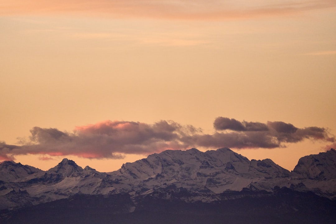 Unleashing Your Wild Side: A Guide to TSULifestyles Exciting Adult Events