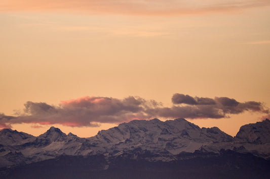 Unleashing Your Wild Side: A Guide to TSULifestyles Exciting Adult Events
