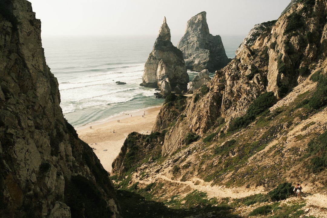 Unleashing Your Wild Side: Exploring the Exciting World of Adult Lifestyle Events with TSULifestyle