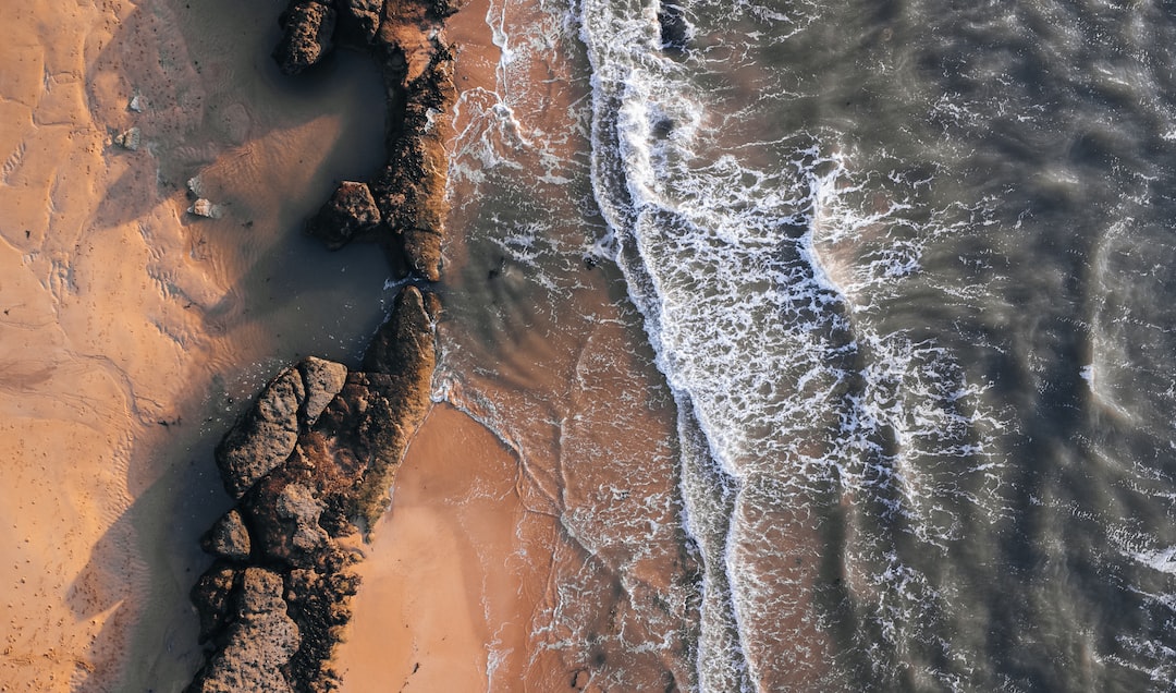 Unleashing Your Adventurous Side: An Exciting Guide to Navigating the TSULifestyle Experience
