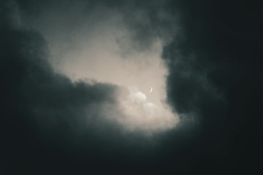 Exploring the Adult Playground: Unleashing Your Inner Wild at TSULifestyle